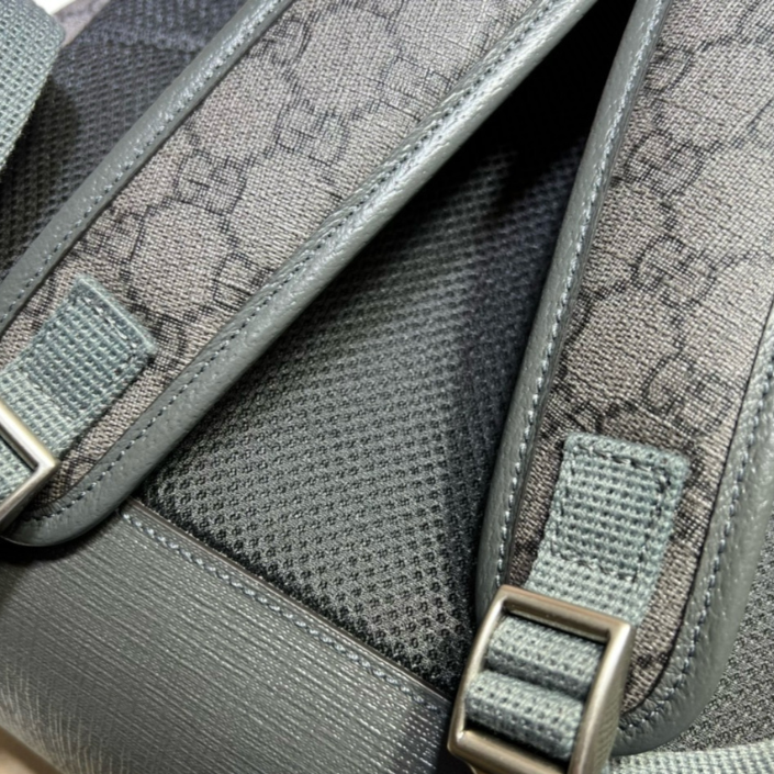 Mochila "Ophidia Medium" Gucci